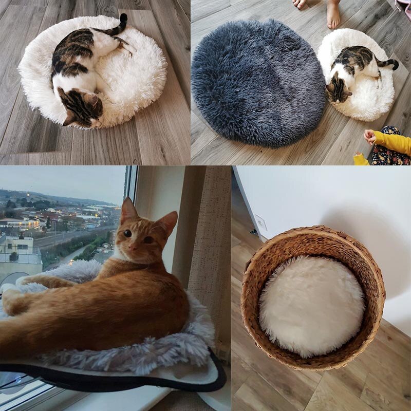 Round Dog Bed